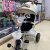 Tricycle Réversible Double Face