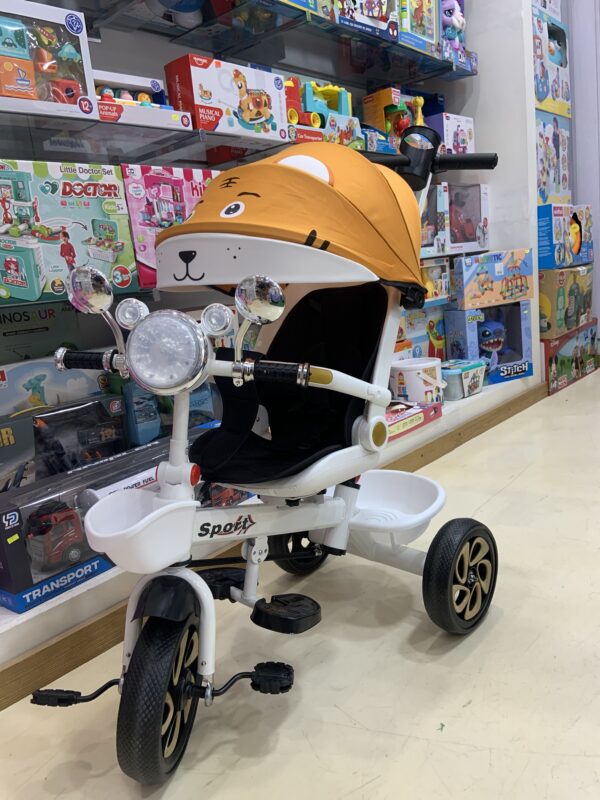 Tricycle Réversible Double Face