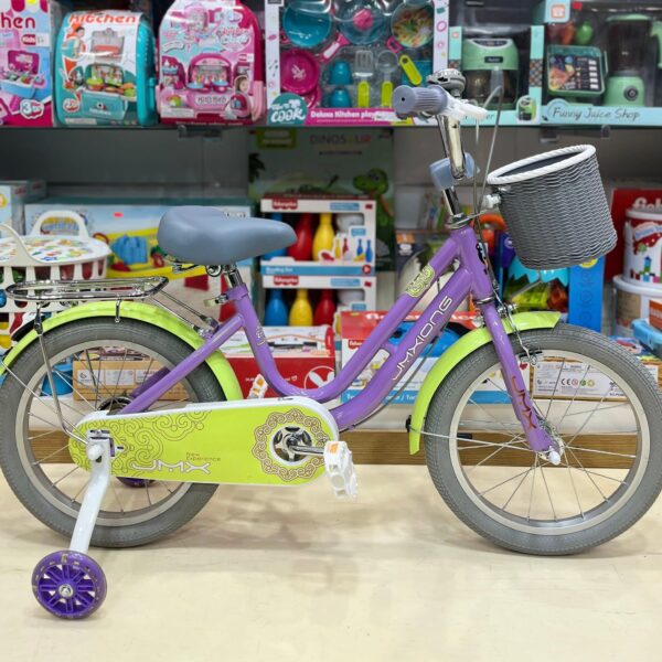IMG_2571 Vélo Fille Violet & Vert