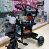 Tricycle Évolutif musical