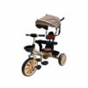 Tricycle bebe avec Canne Parentale & Ombrelle